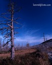 1-moose hunting 037 redone2