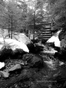 1-South Brook Trail1